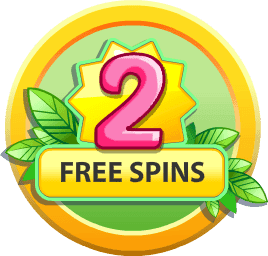 Free Spins image