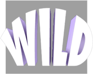 Wild Substitution image