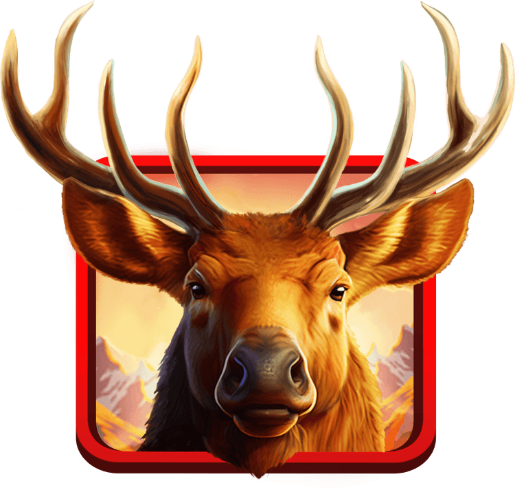 Elk Targets image
