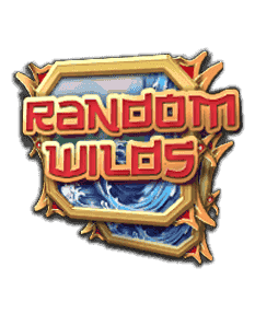Random Wild Random Feature image