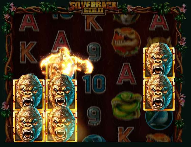 Silverback Attack Feature image